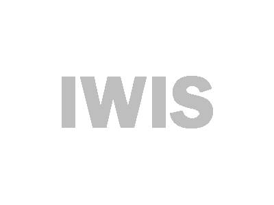 CT 102 Универсальный вытаскиватель штырей IWIS