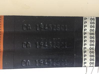BELT 194528C2 - Case, New Holland Parts - Foto 1