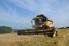 Harvester New Holland CX5090SL - BISO Schrattenecker - Foto 4